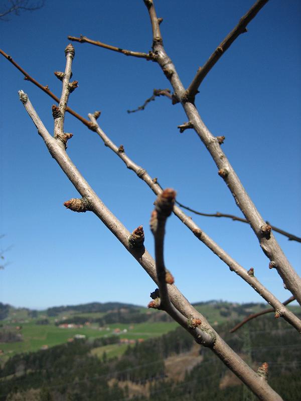 2010 04 06 C